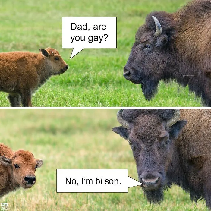 85 Dad Jokes That Shouldn’t Be Funny But Somehow Are Every Single Time (New Pics) 