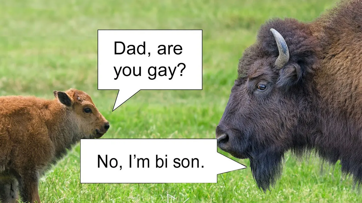 85 Dad Jokes That Shouldn’t Be Funny But Somehow Are Every Single Time (New Pics) 