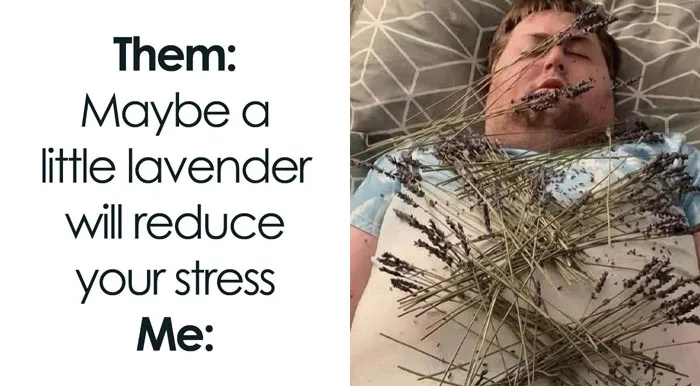 71 Funny Random Memes To Help You Cure Your Afternoon Boredom