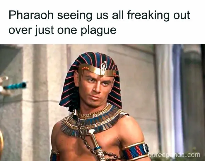 79 Funny History Memes That Should Be In Textbooks