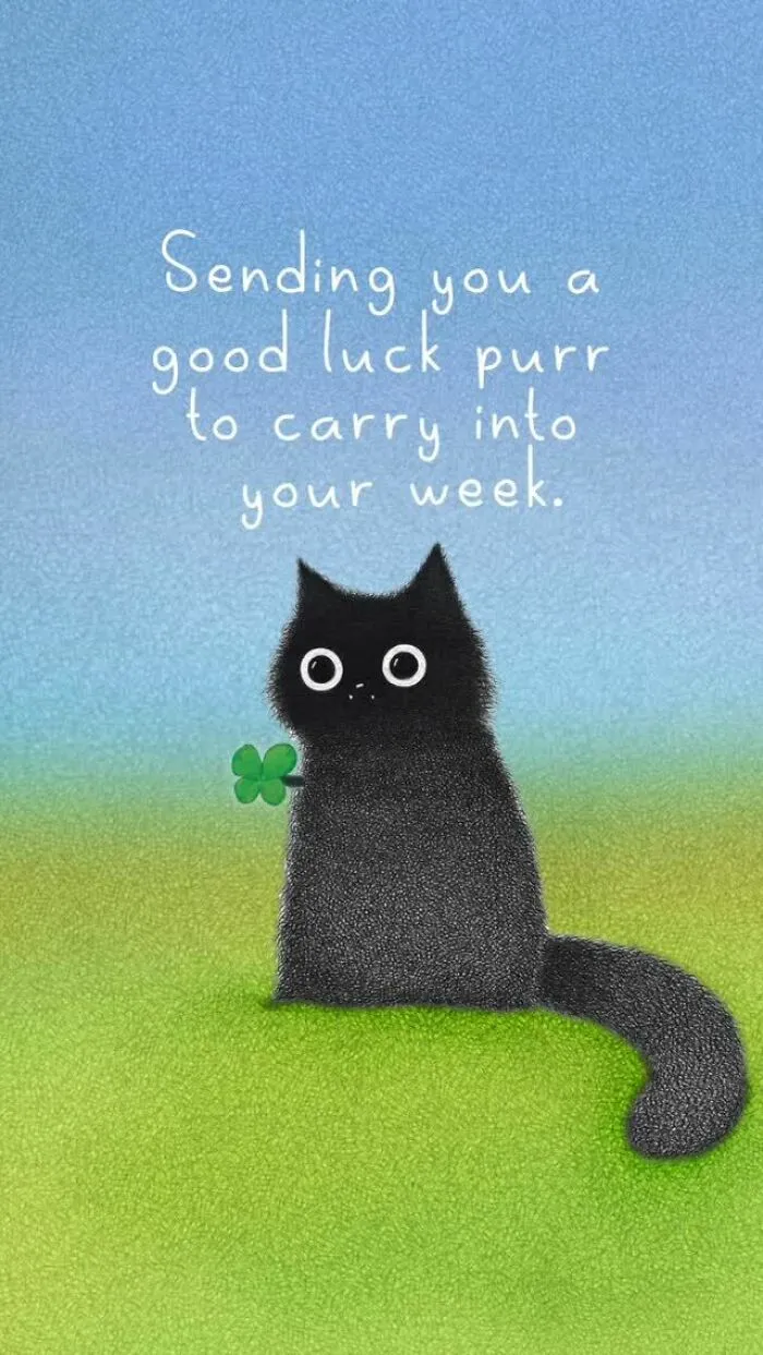 This Artist Creates Illustrations That You Might Relate To If You Have A Cat (35 New Pics)