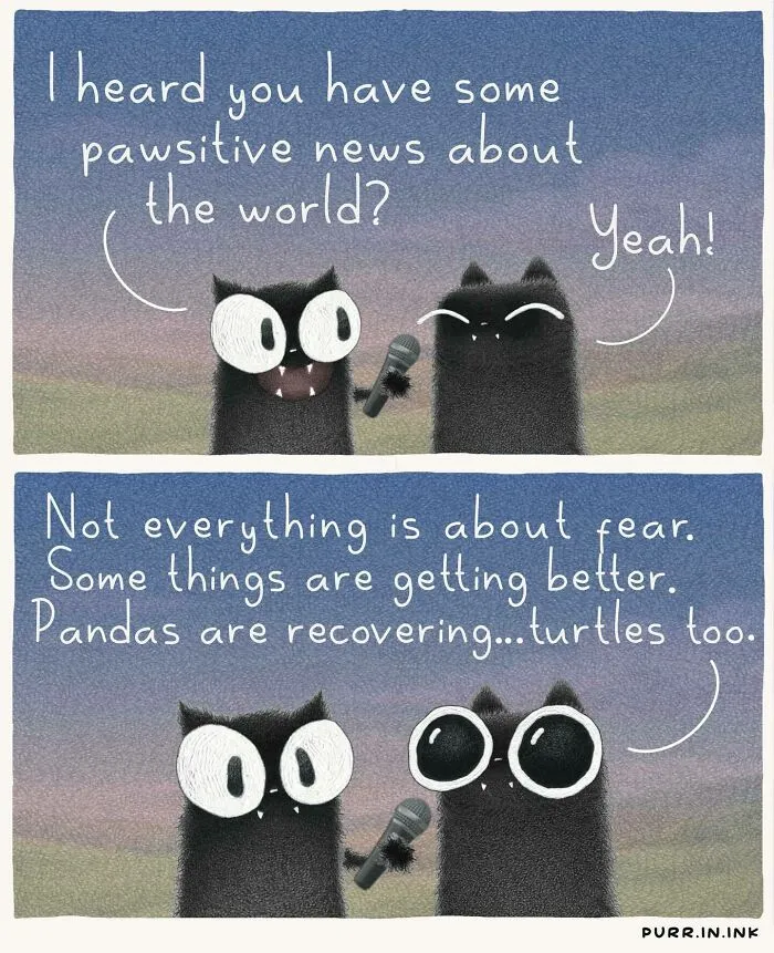 Cute cat illustration featuring two cats discussing pawsitive news and pandas recovering.