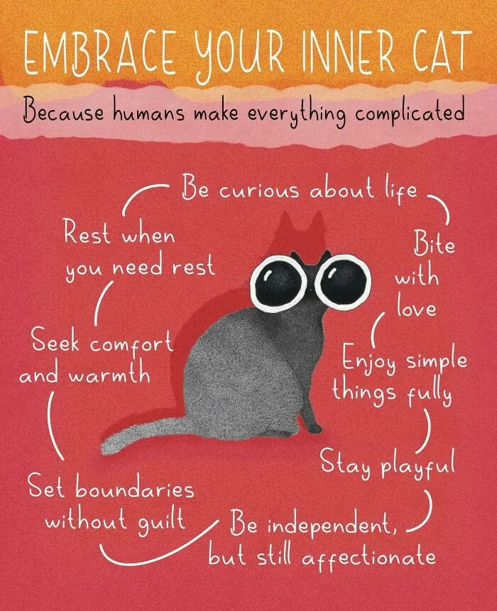 This Artist Creates Illustrations That You Might Relate To If You Have A Cat (35 New Pics)