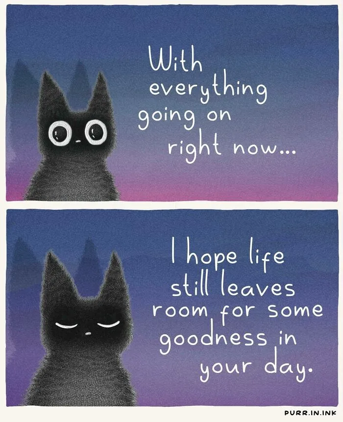 Artist creates cat illustrations: A two-panel comic with a black cat, sharing a message of hope for goodness in life.