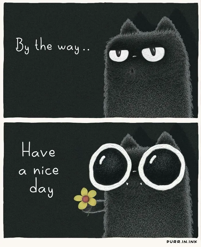 A two-panel illustration of a black cat initially annoyed, then offering a flower. Relatable cat illustrations.