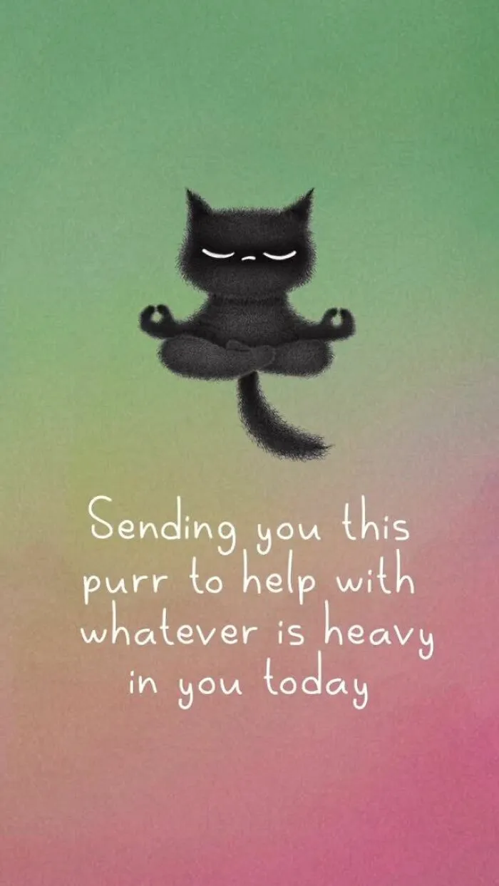 An illustration of a black cat meditating with text about sending purrs to help. Relatable cat illustrations.