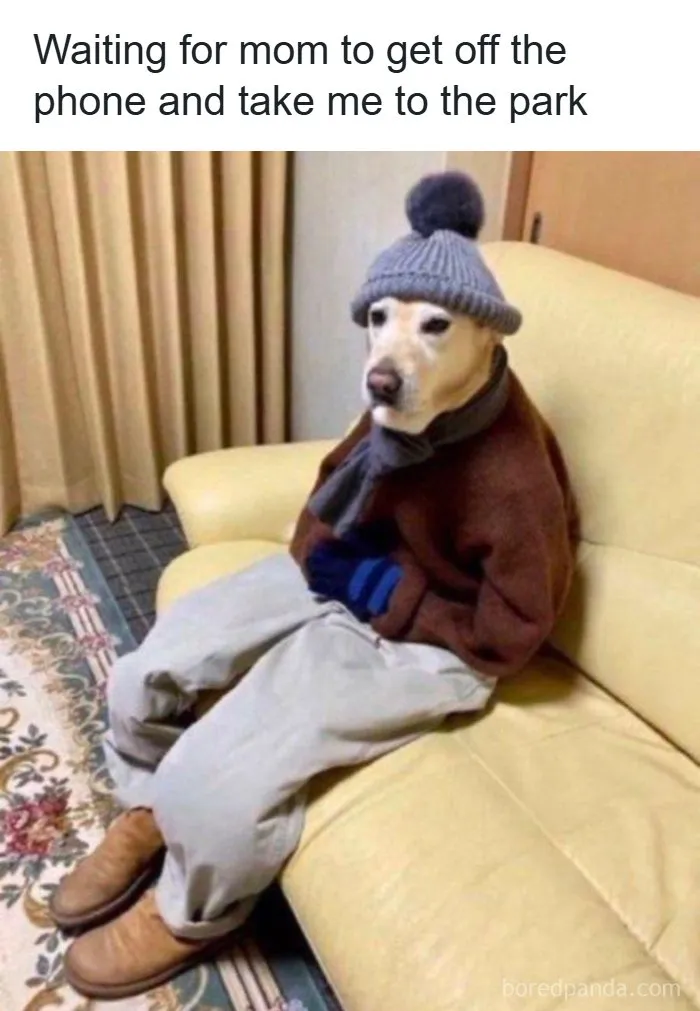 71 Funny Random Memes To Help You Cure Your Afternoon Boredom