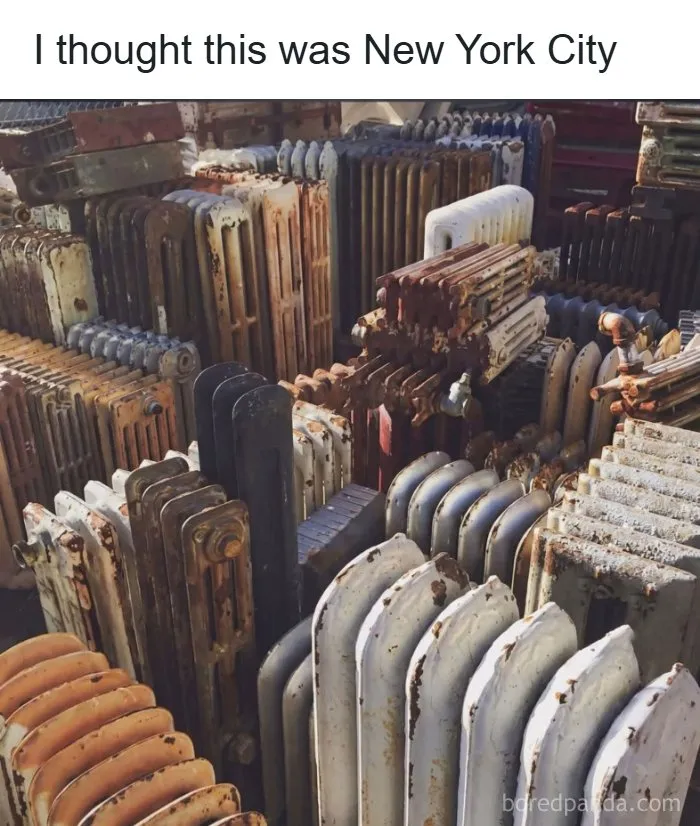 71 Funny Random Memes To Help You Cure Your Afternoon Boredom