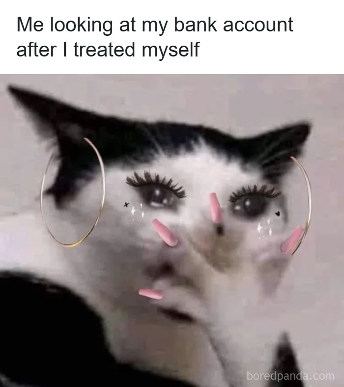 Cat with earrings and nails meme about bank account after treating oneself
