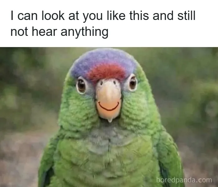 Colorful parrot meme about ignoring sounds in top-tier random memes