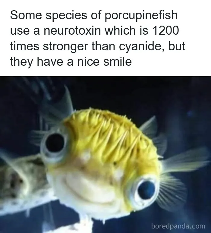 47 Funny Memes Require Brains And Sense Of Humor To Understand (New Pics)