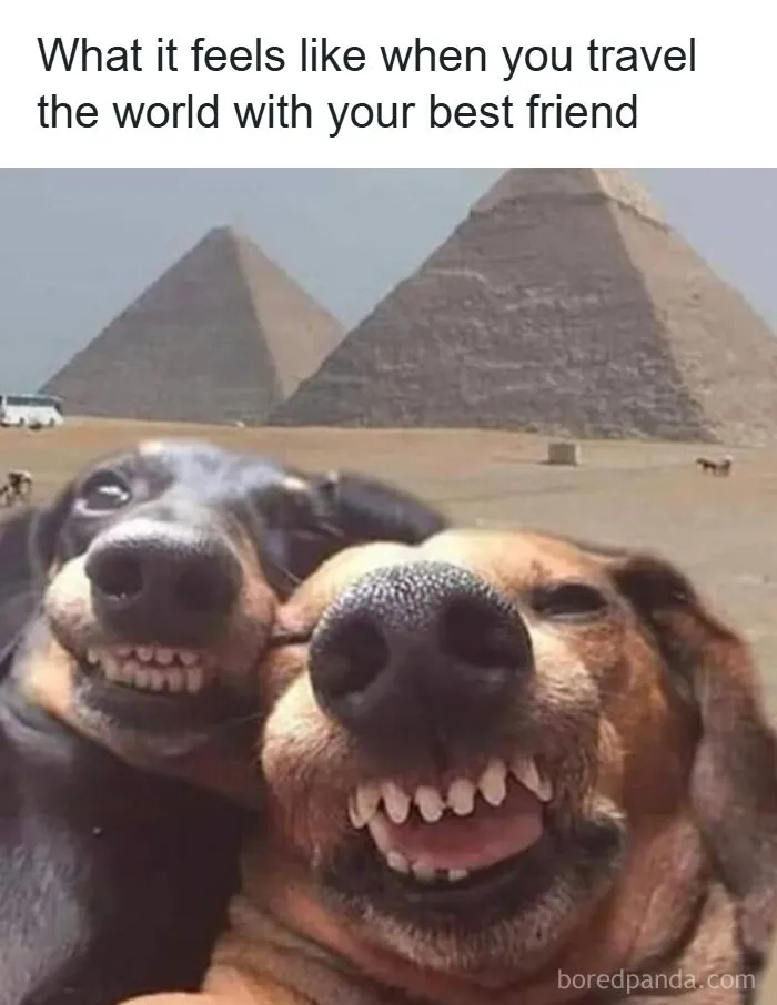 61 Hilariously Relatable Travel Memes That Hit Harder Than Jet Lag