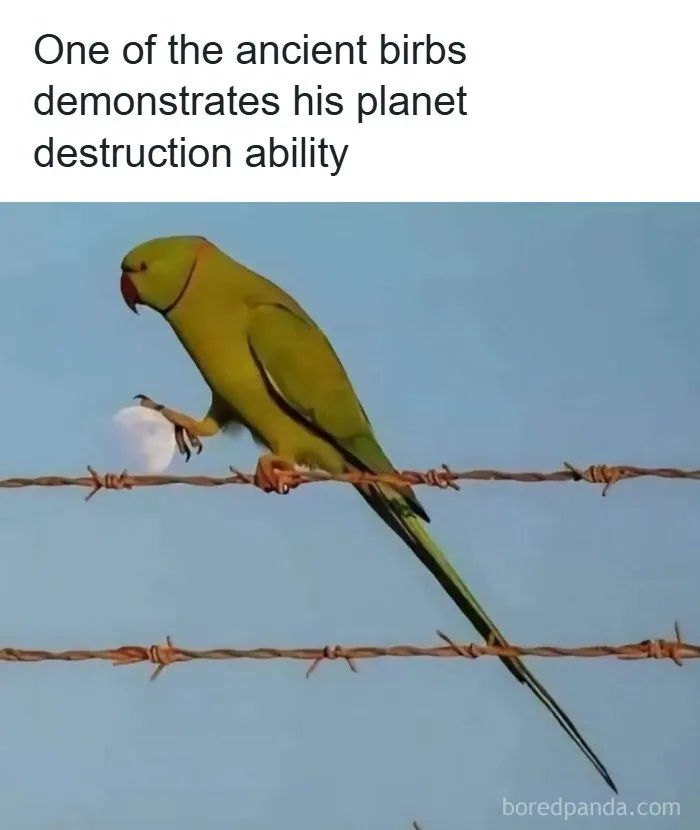 71 Funny Random Memes To Help You Cure Your Afternoon Boredom