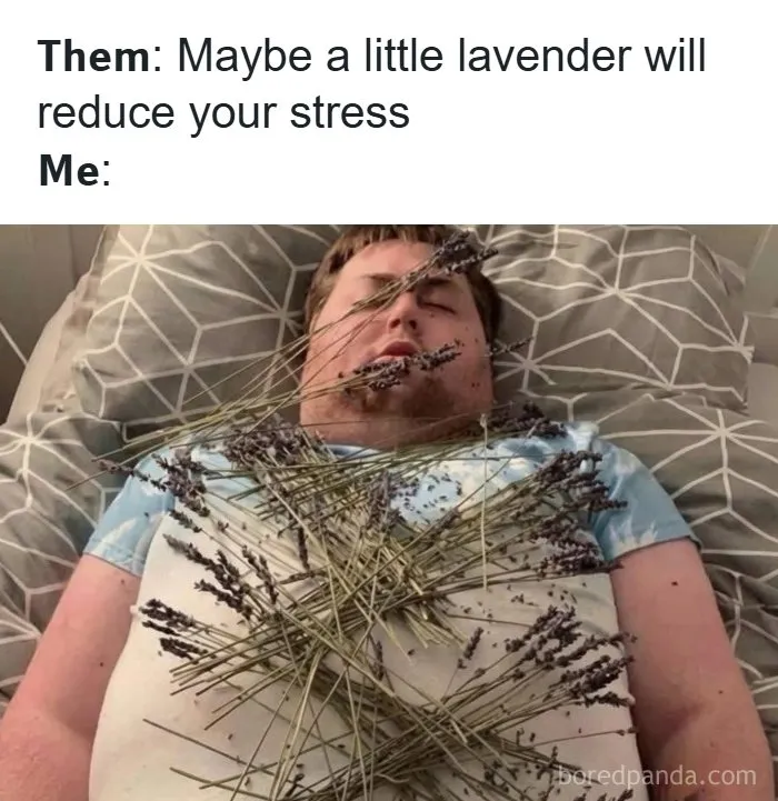 Man lying with lavender on him meme about stress relief