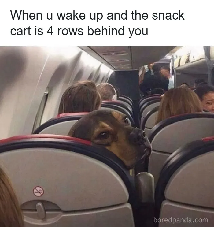 61 Hilariously Relatable Travel Memes That Hit Harder Than Jet Lag