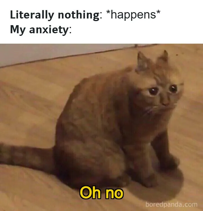 71 Funny Random Memes To Help You Cure Your Afternoon Boredom