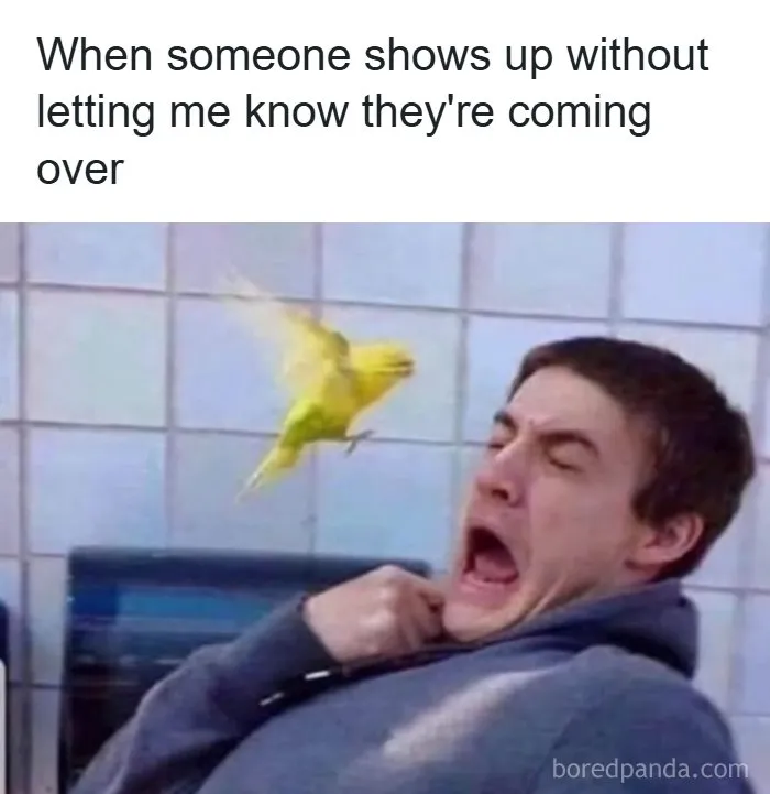 71 Funny Random Memes To Help You Cure Your Afternoon Boredom