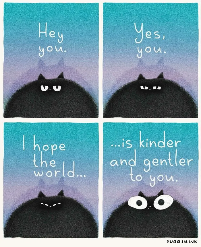 A four-panel illustration showing a fluffy black cat expressing hope for a kinder world.