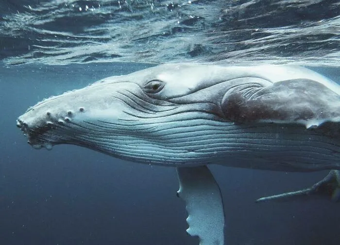 30 Photos By This Artist That Blur The Line Between Human And Nature