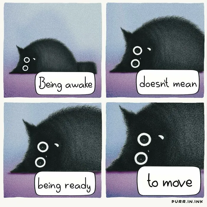 This Artist Creates Illustrations That You Might Relate To If You Have A Cat (35 New Pics)