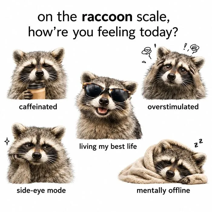 47 Cute And Hilarious Raccoon Pics That Might Steal Your Heart