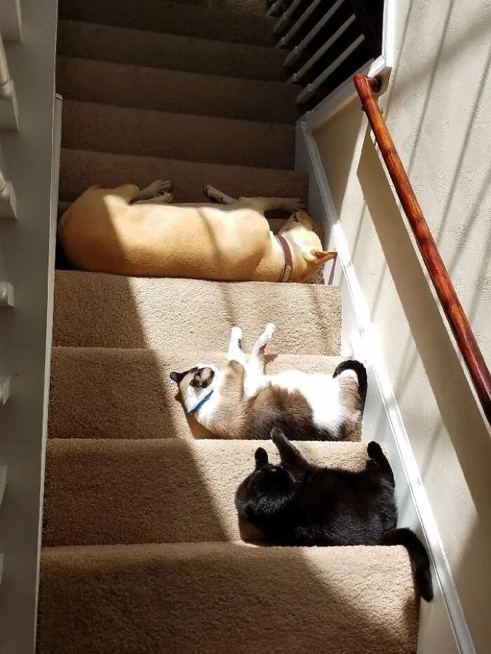 One Of These Things Is Not Like The Other