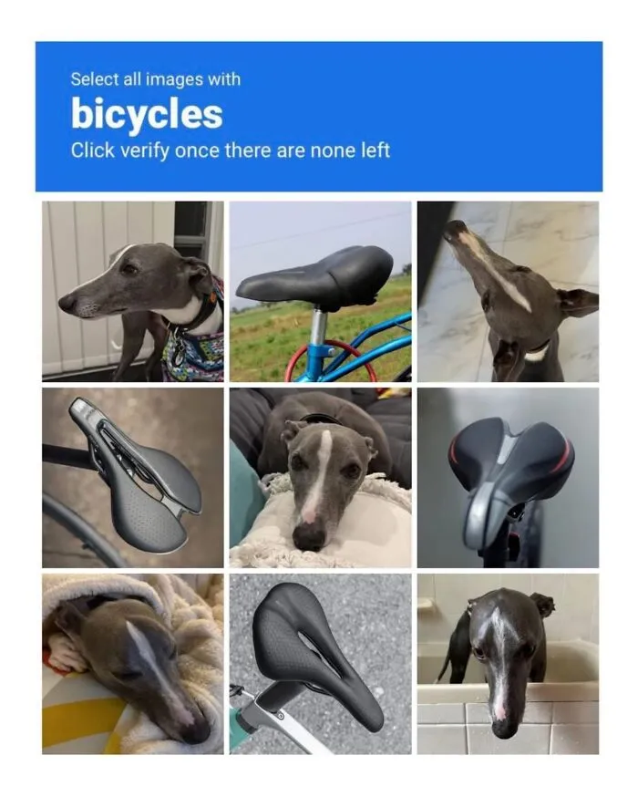 This Page Shared 38 Dog Memes That Capture How Hilariously Strange Canine Logic Is