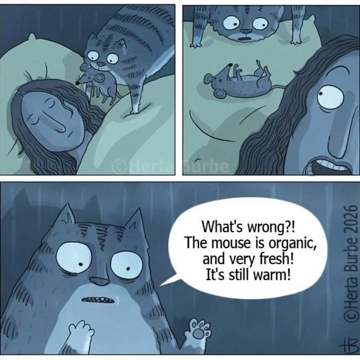50 Beautiful Cat Comics By This Artist That Show Why Humans Feel So Deeply Connected To These Animals