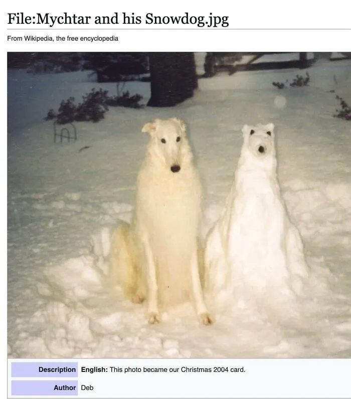 This Page Shared 69 Weird Animal Facts People Discovered While Falling Into A Wikipedia Rabbit Hole