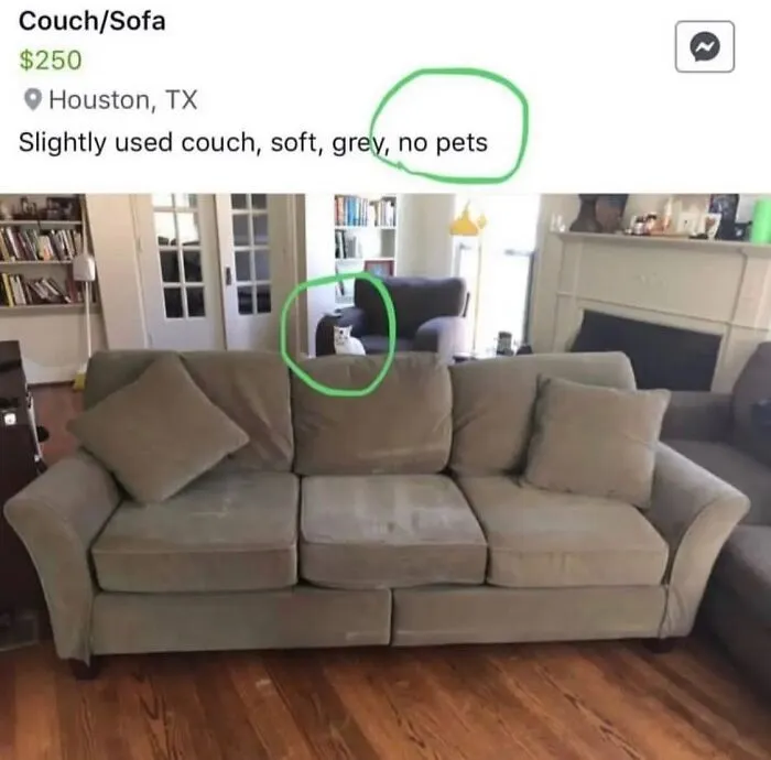 50 Hilarious Memes And Moments Caught On Camera, As Shared By ‘Cats Without Context’