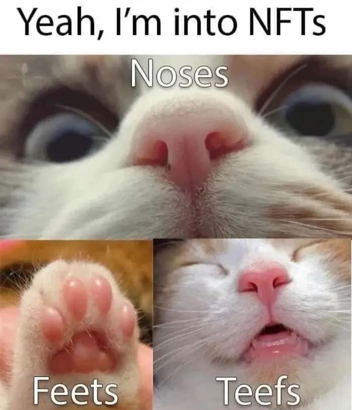 50 Hilarious Memes And Moments Caught On Camera, As Shared By ‘Cats Without Context’