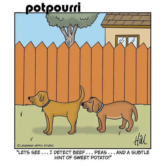 This Artist’s 30 Comics That Prove Dogs Are Adorable, Chaotic, And Slightly Unhinged Roommates
