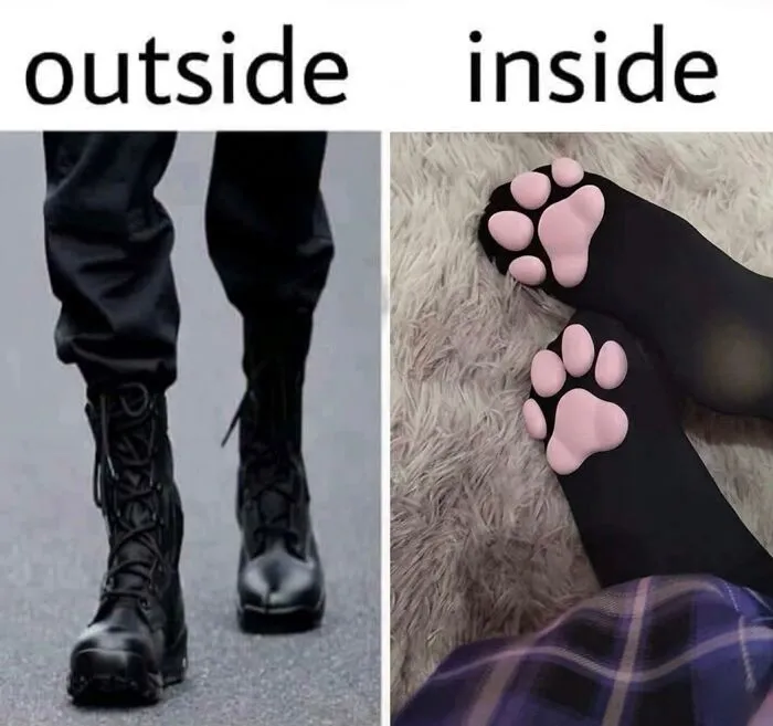 ‘Soft Cat Memes’: 45 Cute And Hilarious Pics for Your Daily Dose Of Feline Fun (New Pics)