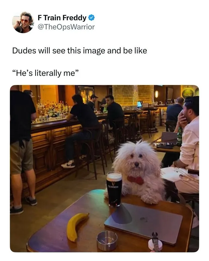 This Page Shared 38 Dog Memes That Capture How Hilariously Strange Canine Logic Is