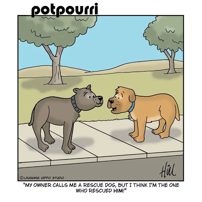 This Artist’s 30 Comics That Prove Dogs Are Adorable, Chaotic, And Slightly Unhinged Roommates