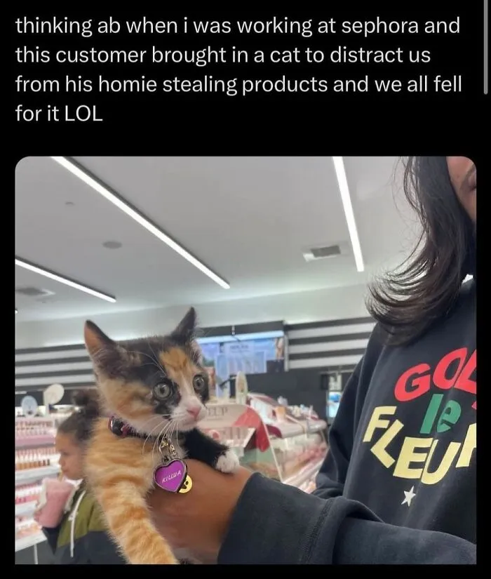 50 Hilarious Memes And Moments Caught On Camera, As Shared By ‘Cats Without Context’
