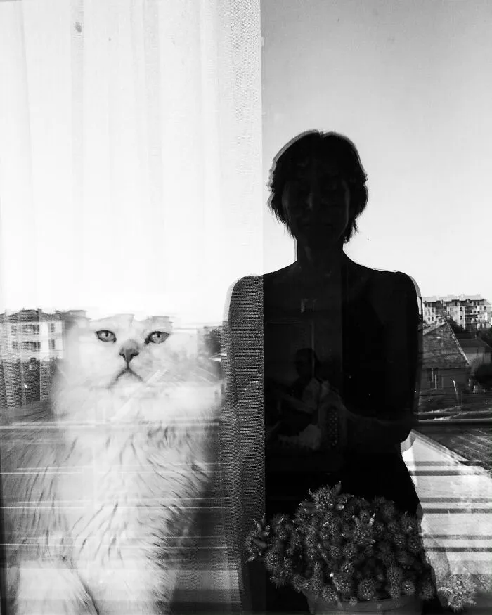 This Photographer Finds The Beauty And Peace Of Capturing Cats In Everyday Street Scenes (29 Pics)