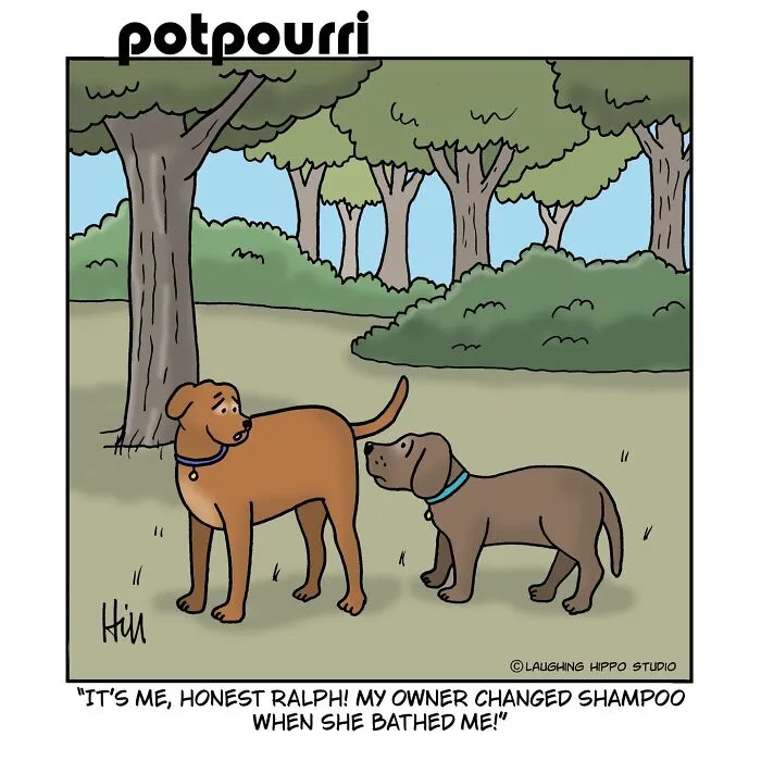 This Artist’s 30 Comics That Prove Dogs Are Adorable, Chaotic, And Slightly Unhinged Roommates