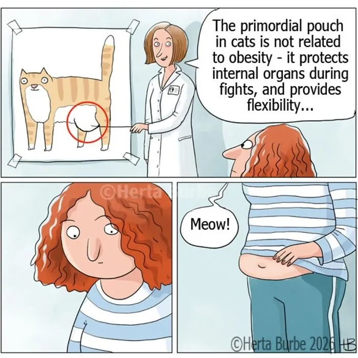 50 Beautiful Cat Comics By This Artist That Show Why Humans Feel So Deeply Connected To These Animals