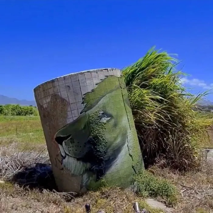 30 Fascinating ‘Urban Street Art’ Photos Showcasing Creativity Without Limits And A Strong Connection To Nature