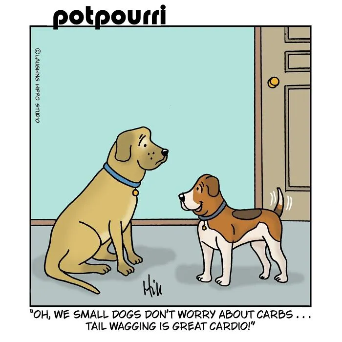 This Artist’s 30 Comics That Prove Dogs Are Adorable, Chaotic, And Slightly Unhinged Roommates