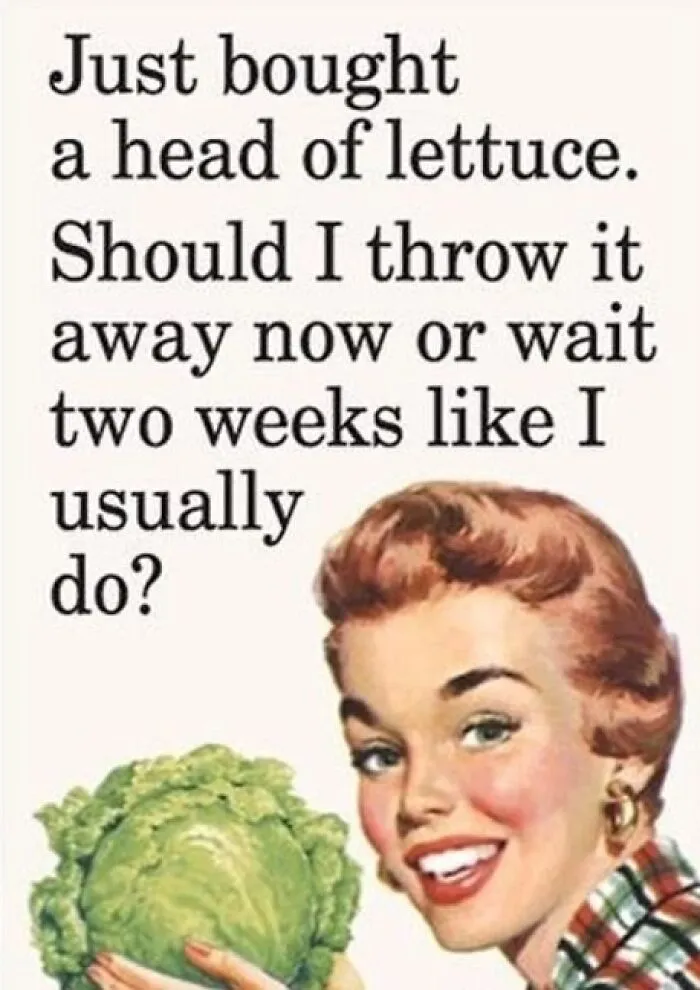 This Instagram Page Combines Retro Photography With Razor-Sharp Modern Humor, And The Results Are Hilarious (28 Pics)