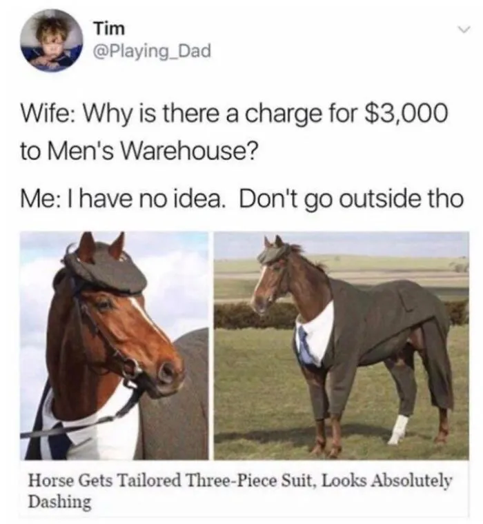 54 Posts From ‘Memes.com’ That Show Why The Internet Never Disappoints