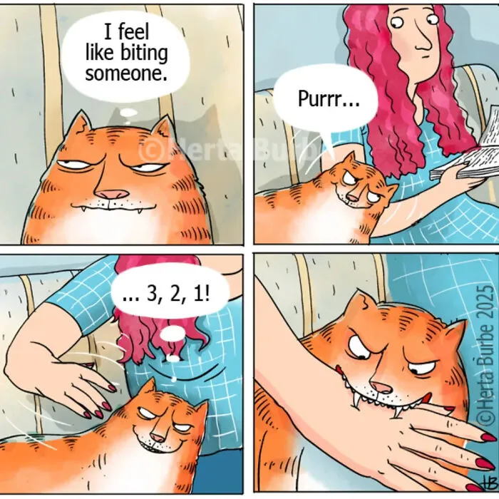 50 Beautiful Cat Comics By This Artist That Show Why Humans Feel So Deeply Connected To These Animals