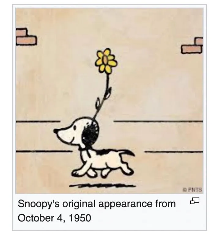 This Page Shared 69 Weird Animal Facts People Discovered While Falling Into A Wikipedia Rabbit Hole