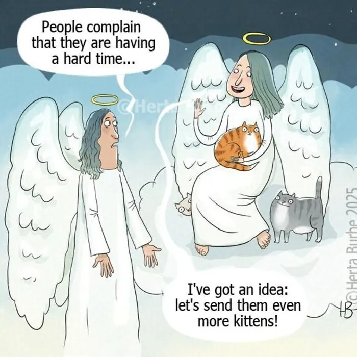 50 Beautiful Cat Comics By This Artist That Show Why Humans Feel So Deeply Connected To These Animals