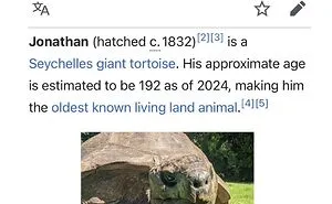 This Page Shared 69 Weird Animal Facts People Discovered While Falling Into A Wikipedia Rabbit Hole