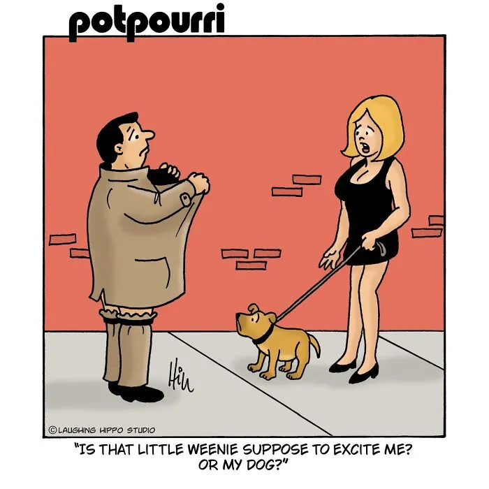 This Artist’s 30 Comics That Prove Dogs Are Adorable, Chaotic, And Slightly Unhinged Roommates