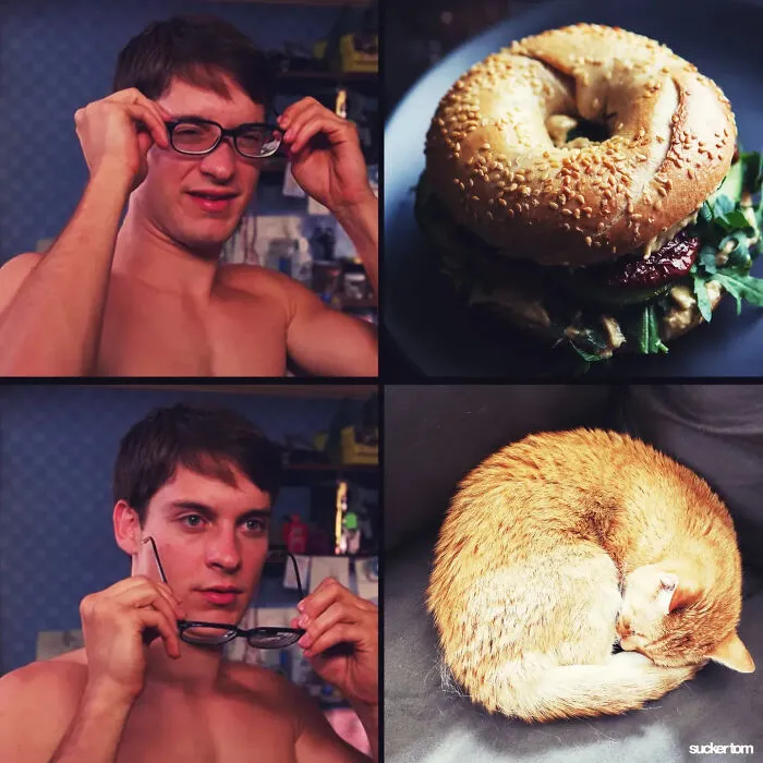 31 New Absurd Photo Edits By This Artist That Look Like Someone Took Internet Humor Way Too Seriously