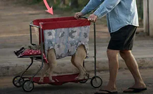 40 Facts And Stories You’ll Wish You’d Heard Sooner
